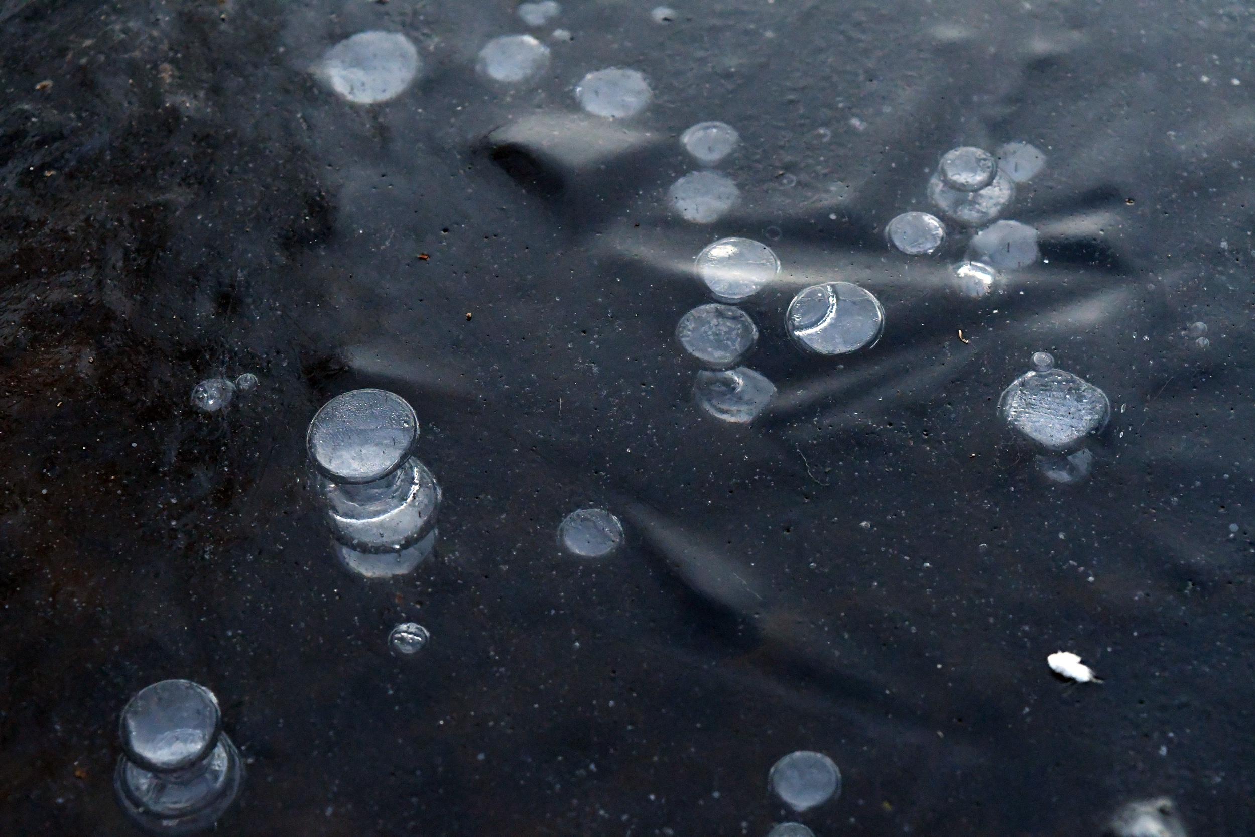 Bubbles in ice, Lullwater, Prospect Park