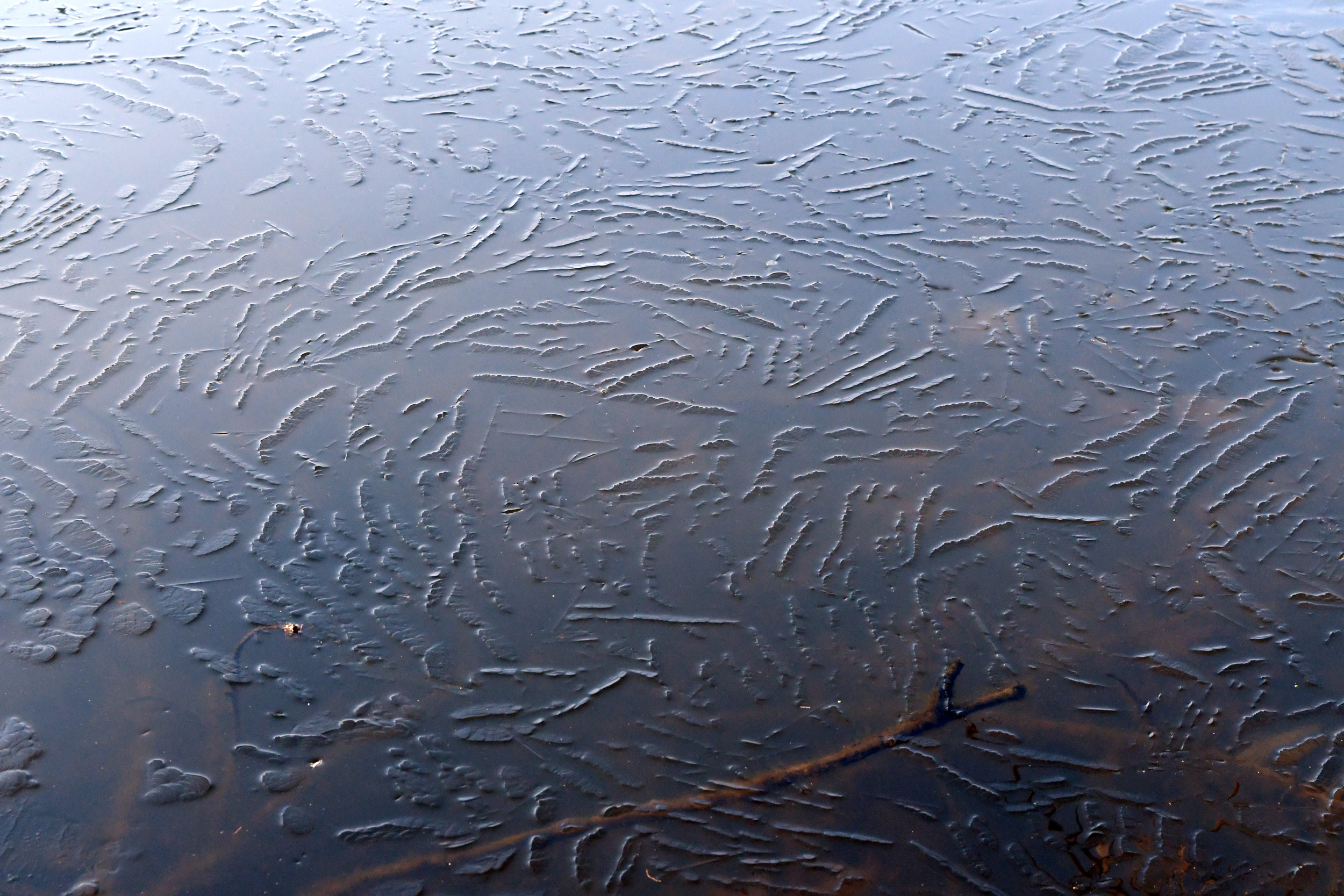 Patterns in ice, ProspectPark