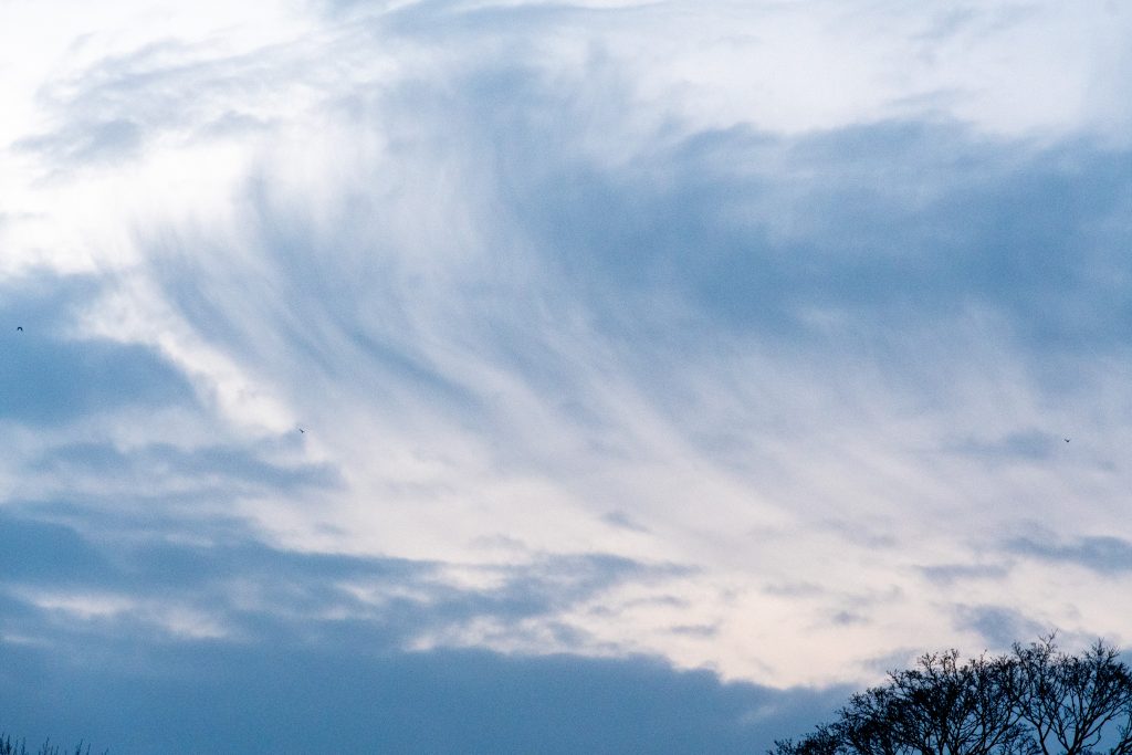 Cirrus clouds, Prospect Park